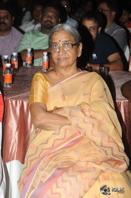 365-Days-Movie-Audio-Launch